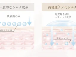 累計出荷数500万個突破！『LDK the Beauty』でA評価を獲得した「SILK THE RICH ザ・リッチ クリアシルキー ボディウォッシュ」に注目！