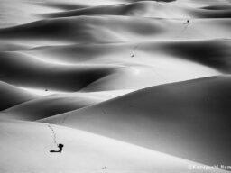 フジフイルム スクエア 企画写真展 野町和嘉写真展「サハラ SAHARA THE ETERNAL」