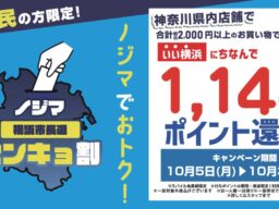 横浜市長選で『ノジマセンキョ割』を実施！