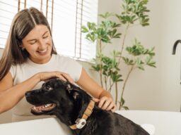 犬・猫の鳴き声は、AIでどう「翻訳」される？PettiChat、Makuake公開10時間で100万円突破