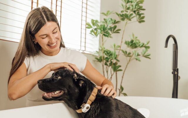 犬・猫の鳴き声は、AIでどう「翻訳」される？PettiChat、Makuake公開10時間で100万円突破