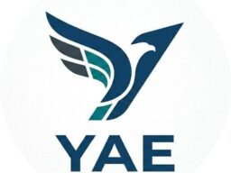 沖縄県のバックアップで本格始動！ブロックチェーン地域通貨「八重山トークン（YAE）」第二次実証実験スタート