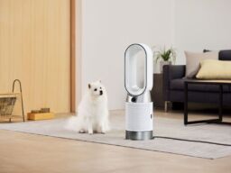 犬と暮らす1,779人に聞いた室内環境　「フケが空気中に長時間漂う」を知る人は約3割にとどまる　ダイソンが「犬の日」を前に調査結果を発表