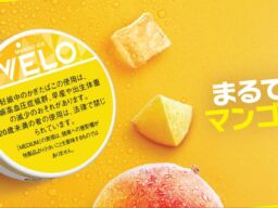 オーラルたばこ「VELO」、ひんやりとした新フレーバー「ベロ・マンゴー・アイス・ミディアム」を11月2日（月）より新発売