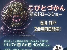 【こびとづかん20周年】初のドローンショー開催！ 最大1,000機のドローンが夜空にコビトたちを描く