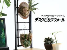 デスクをジャングル化！PC周りをビカクシダの要塞にするクランプ式壁掛け植物パネル発売